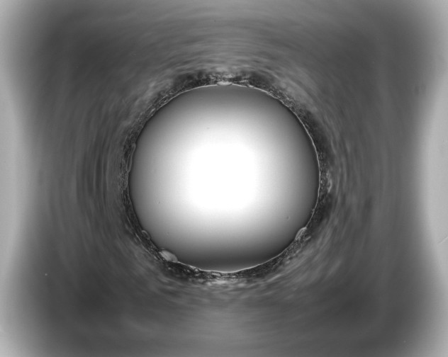 X0000086960961200704301234