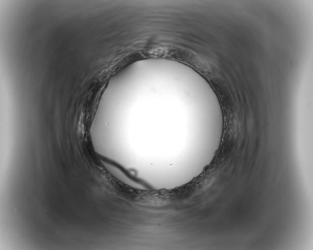 X0000086960962200704301234
