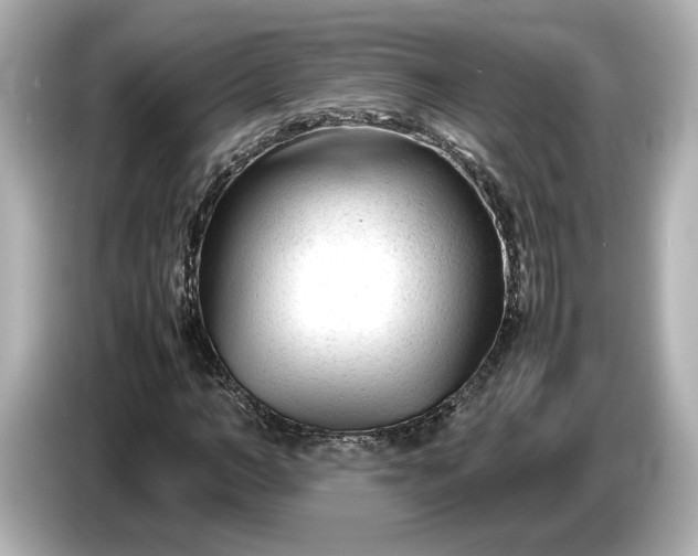 X0000086960966200704301234