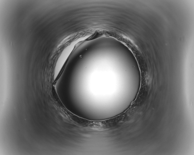 X0000086960968200704301234