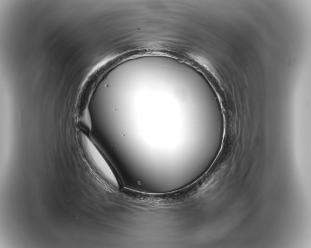 X0000086960971200704301234