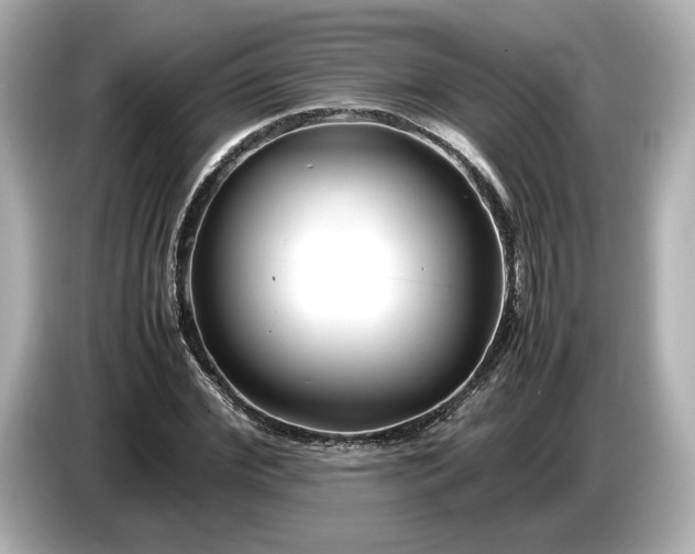 X0000086960972200704301234