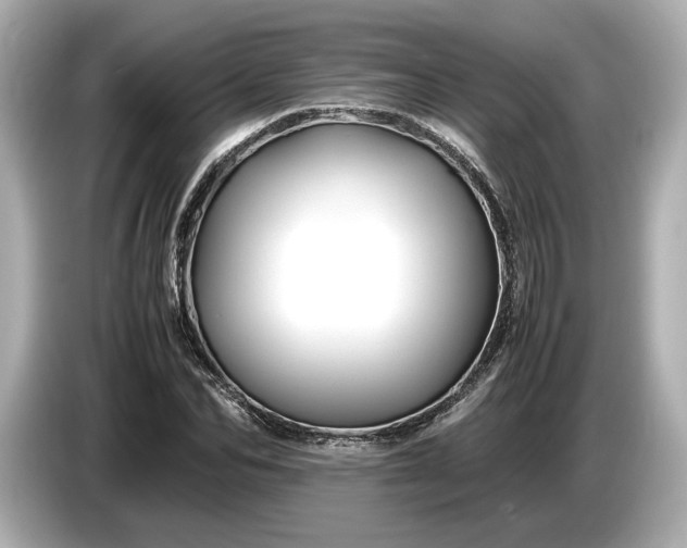 X0000086960974200704301234