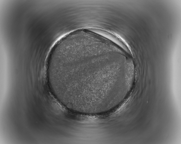 X0000086960975200704301234