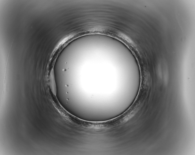 X0000086960978200704301234