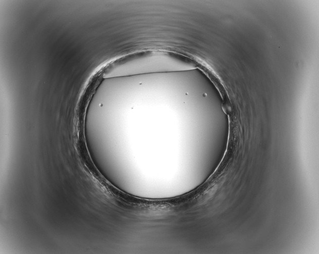 X0000086960979200704301234