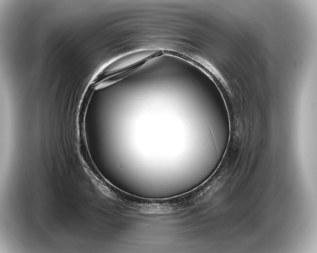 X0000086960980200704301234