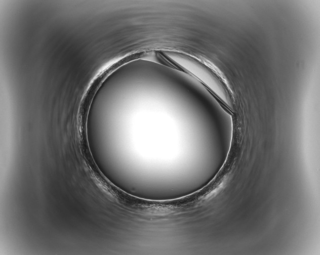 X0000086960981200704301234