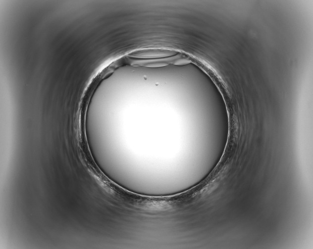 X0000086960982200704301234