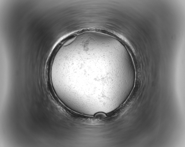 X0000086960983200704301234