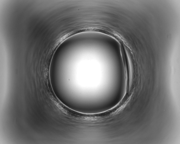 X0000086960985200704301234