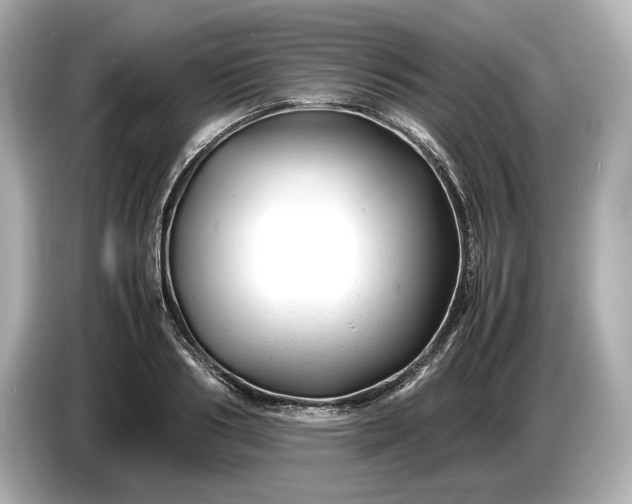 X0000086960986200704301234
