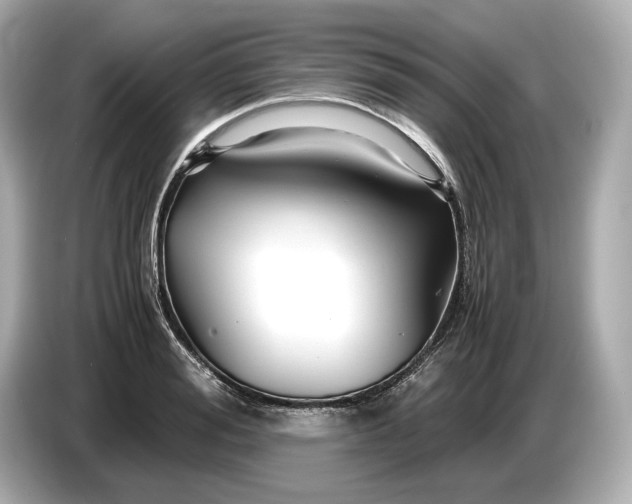 X0000086960988200704301234