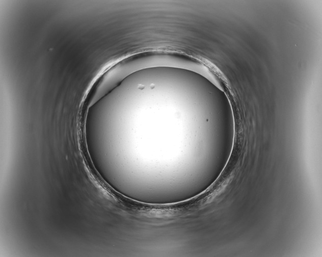X0000086960989200704301234