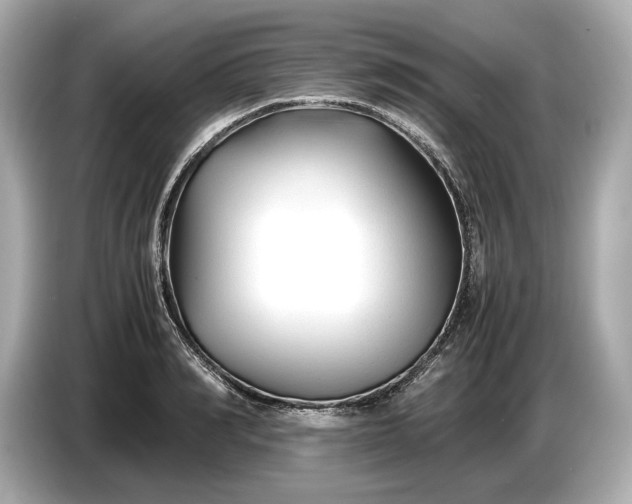 X0000086960990200704301234