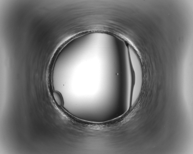 X0000086960991200704301234