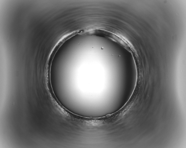 X0000086960992200704301234
