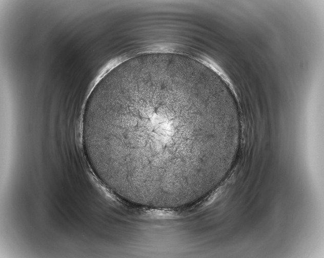X0000086960994200704301234