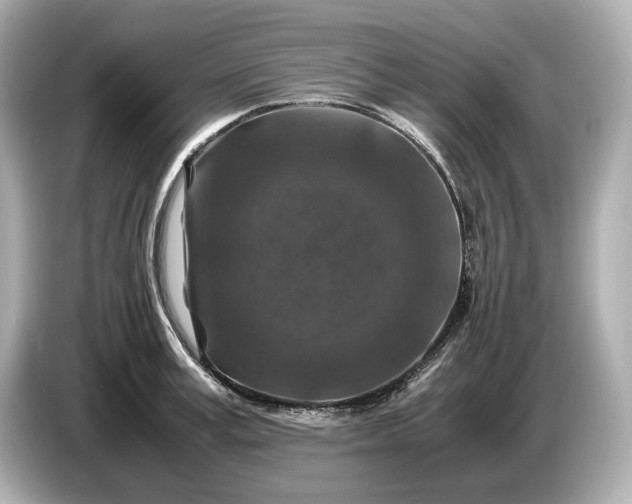 X0000086960995200704301234