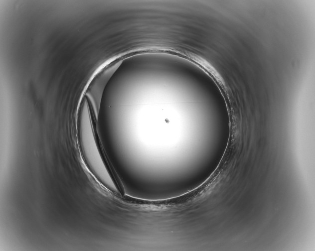 X0000086960996200704301234