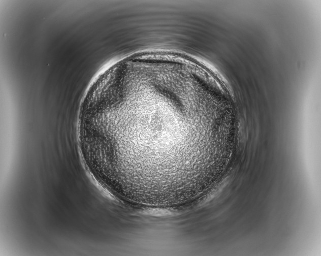 X0000086960998200704301234