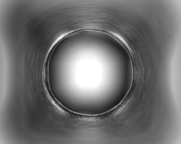 X0000086960999200704301234