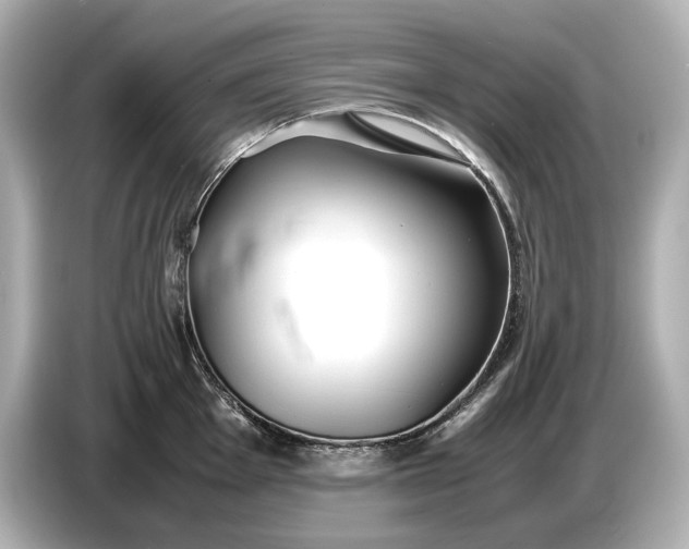 X0000086961001200704301234