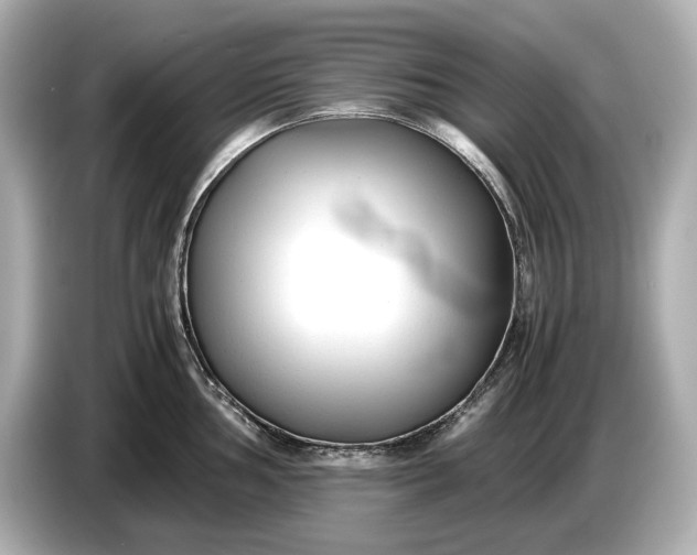 X0000086961002200704301234