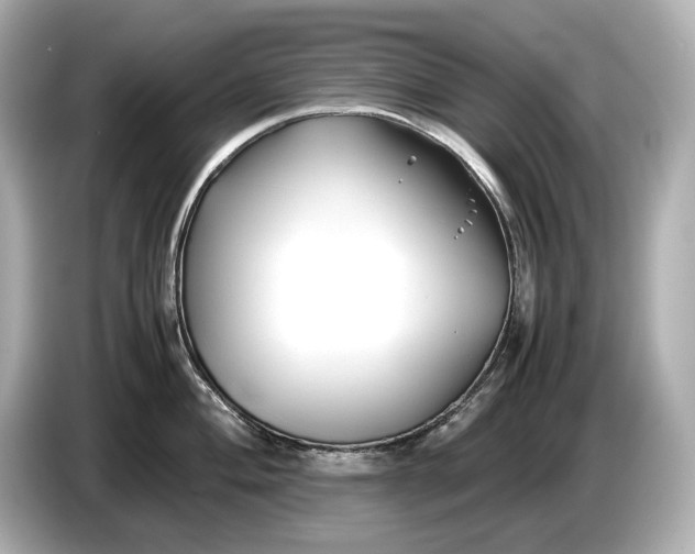 X0000086961004200704301234