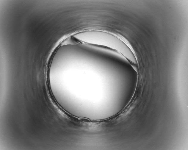 X0000086961005200704301234