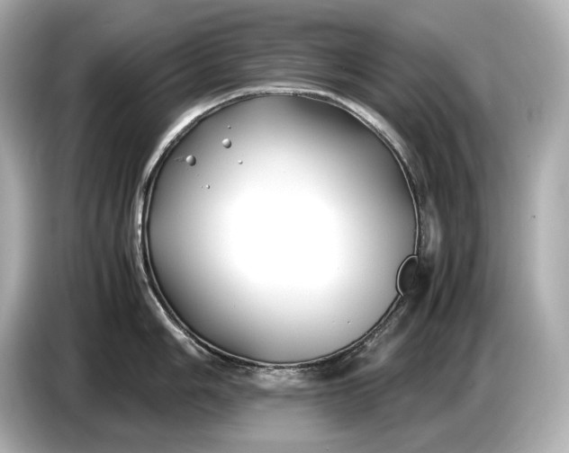 X0000086961006200704301234