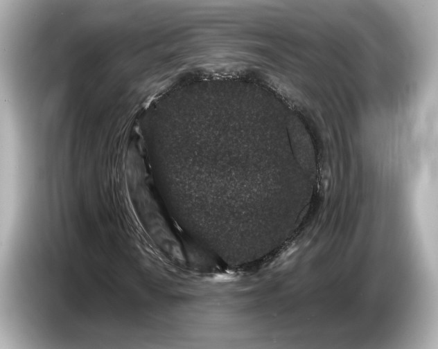 X0000086961010200704301233