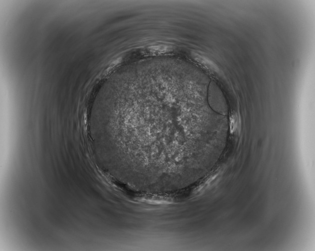 X0000086961011200704301233
