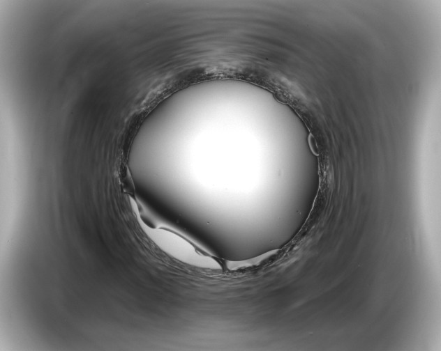 X0000086961012200704301233