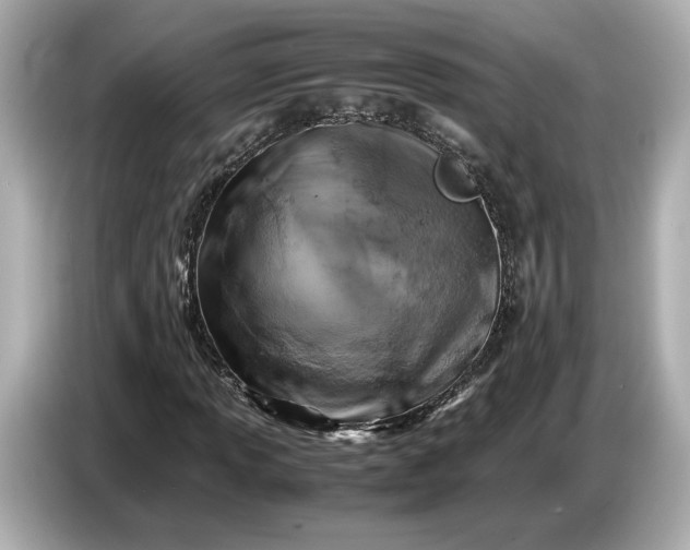 X0000086961013200704301233