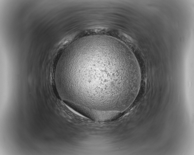 X0000086961014200704301233