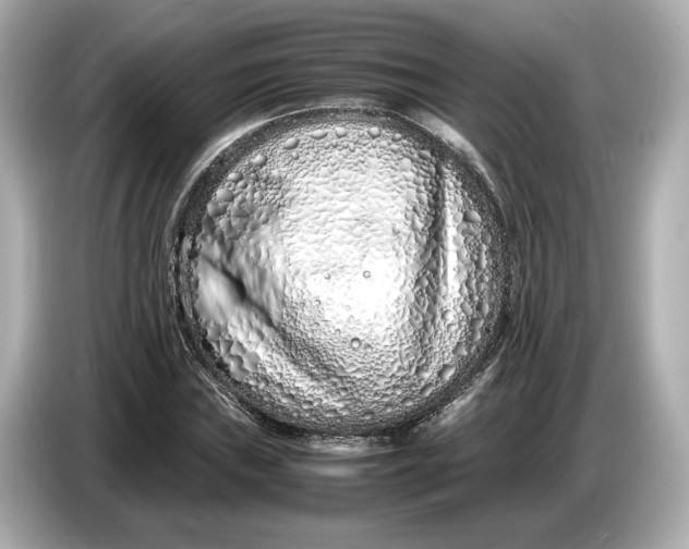 X0000086961019200704301233