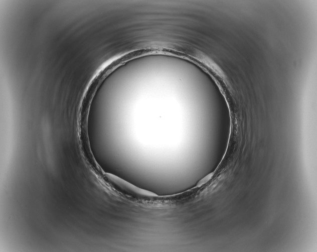 X0000086961020200704301233