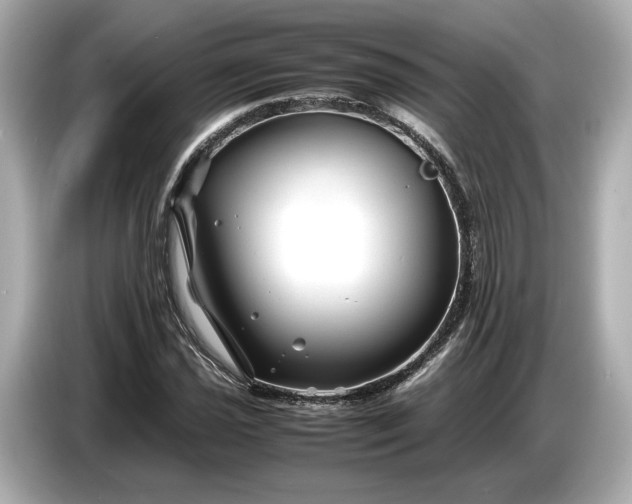X0000086961021200704301233