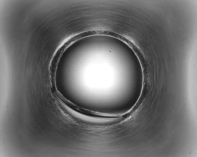 X0000086961022200704301233