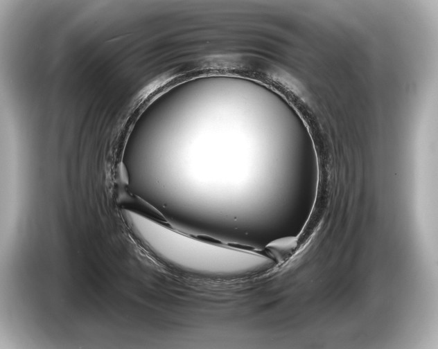 X0000086961025200704301233