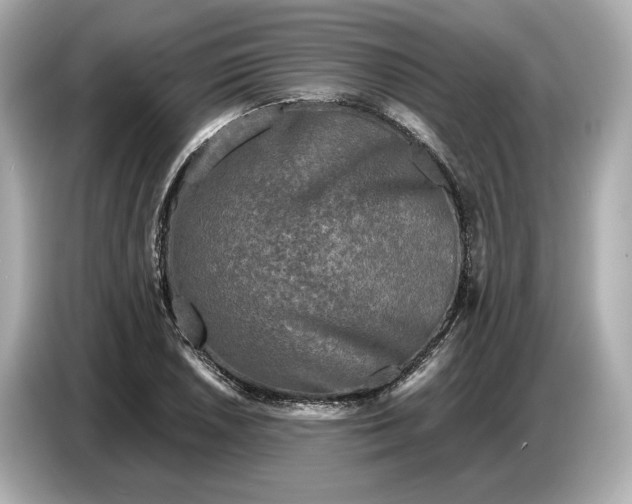 X0000086961026200704301233