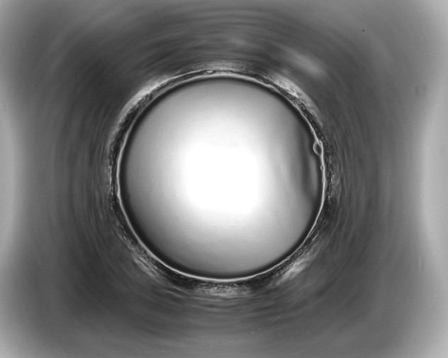 X0000086961027200704301233
