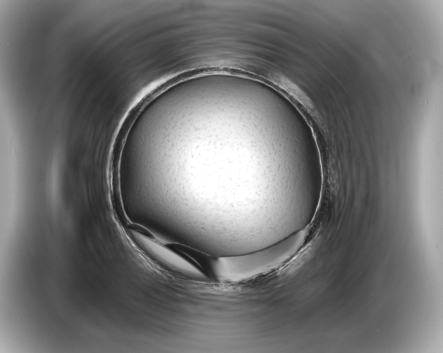 X0000086961028200704301233