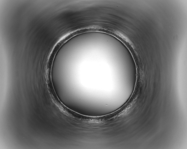 X0000086961029200704301233
