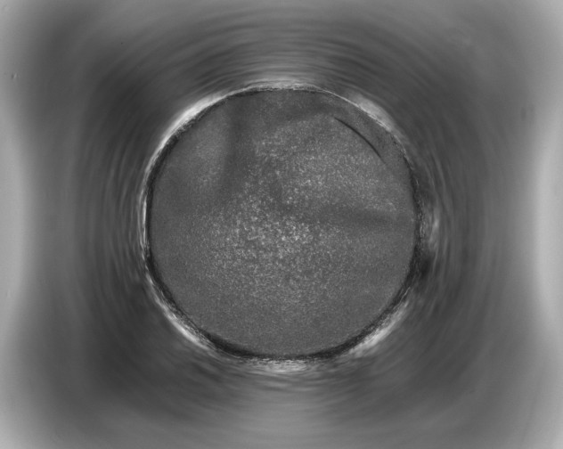 X0000086961030200704301233