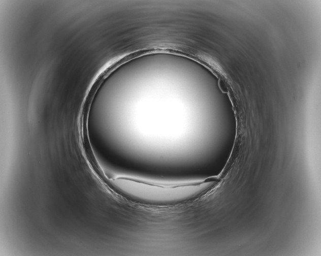 X0000086961032200704301233