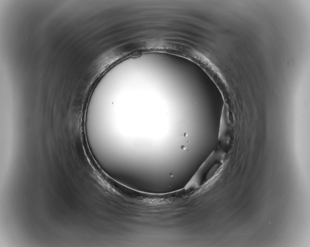 X0000086961033200704301233