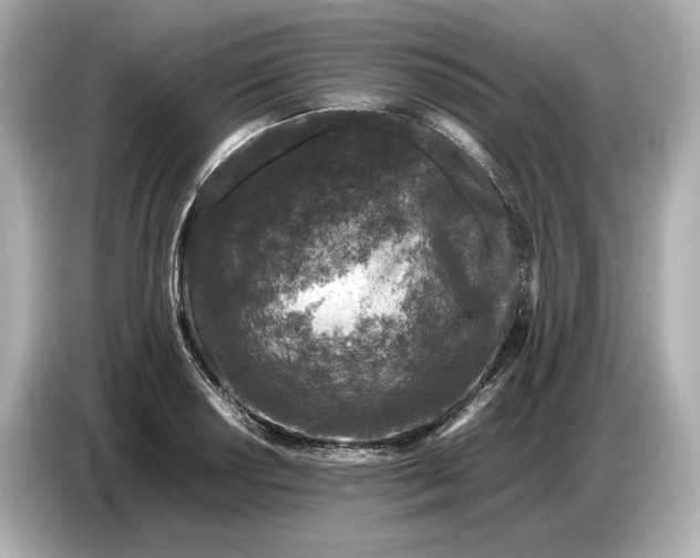 X0000086961034200704301233