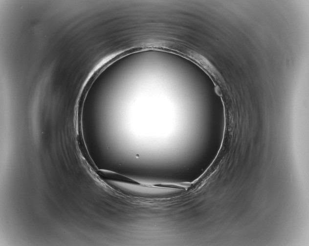 X0000086961036200704301233